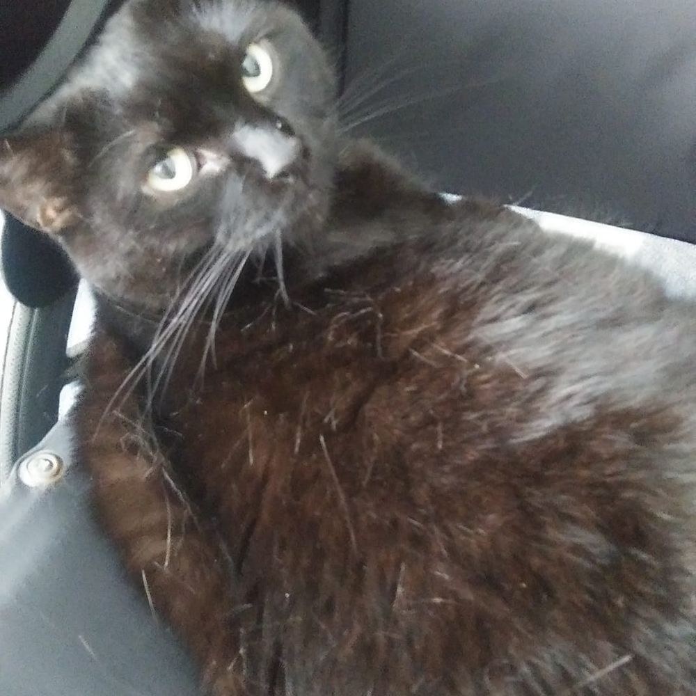 Meet your Posher, Lynn